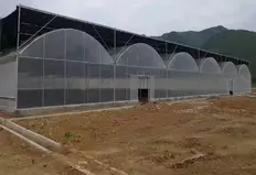 Теплица площадью 10000 м² для сельскохозяйственных/коммерческих целей